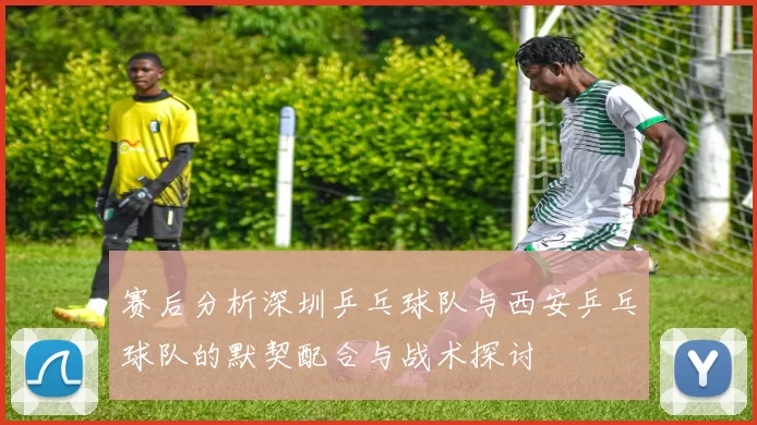 赛后分析深圳乒乓球队与西安乒乓球队的默契配合与战术探讨