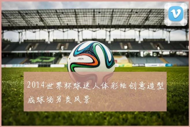 2014世界杯球迷人体彩绘创意造型成球场另类风景