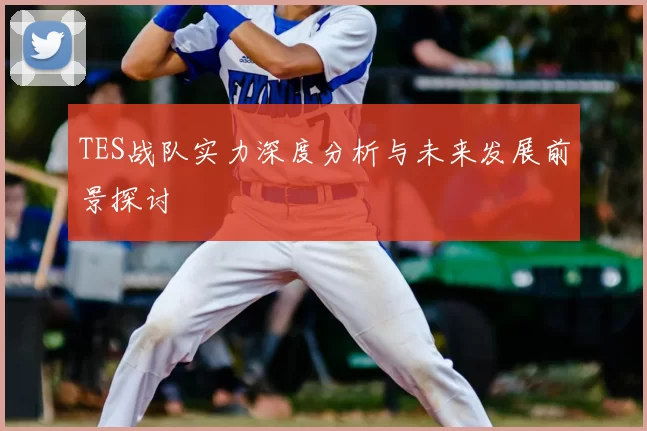 TES战队实力深度分析与未来发展前景探讨