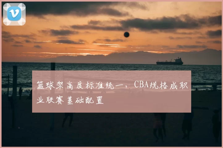 篮球架高度标准统一，CBA规格成职业联赛基础配置