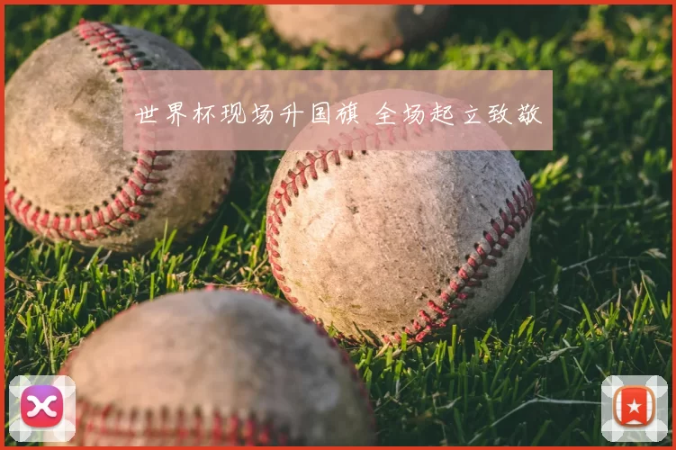 世界杯现场升国旗 全场起立致敬