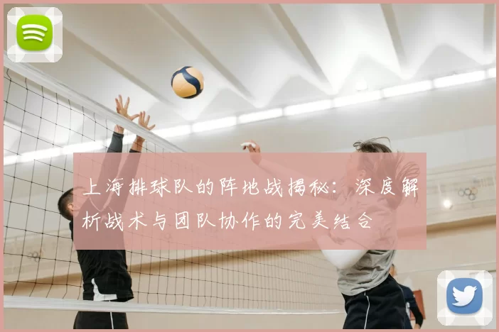 上海排球队的阵地战揭秘：深度解析战术与团队协作的完美结合