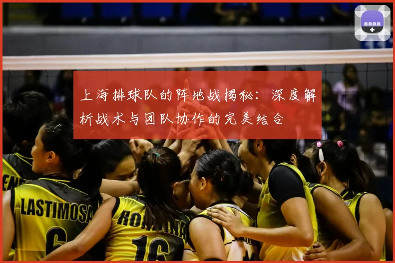 上海排球队的阵地战揭秘：深度解析战术与团队协作的完美结合