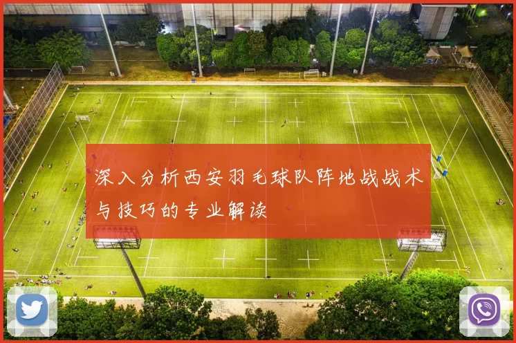 深入分析西安羽毛球队阵地战战术与技巧的专业解读
