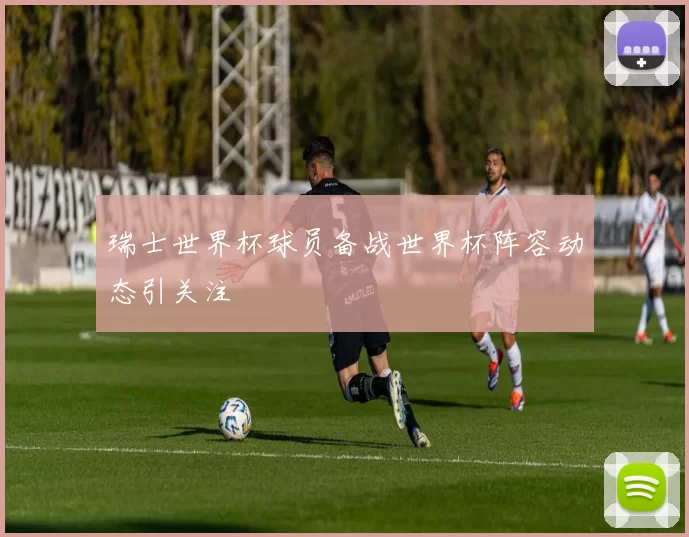 瑞士世界杯球员备战世界杯阵容动态引关注