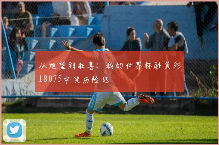 从绝望到狂喜：我的世界杯胜负彩18075中奖历险记